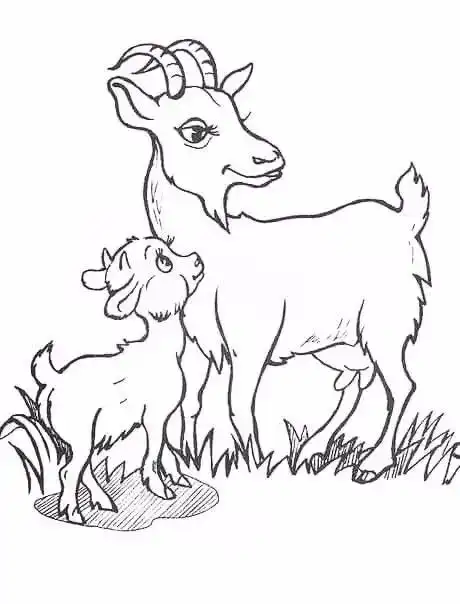 羊简笔画7种山羊简笔画画法简单易学适合小白学习的简笔画