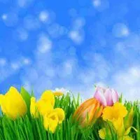 全世界最美的风景头像图片大全_微信头像图片大全