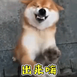 304三天涨幅超1000佛山不锈钢水管假期开启自嗨模式