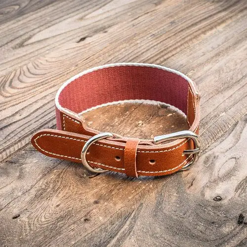宠物用品编织牛皮项圈外出遛狗可调节皮带圈扣中小型犬脖套批发