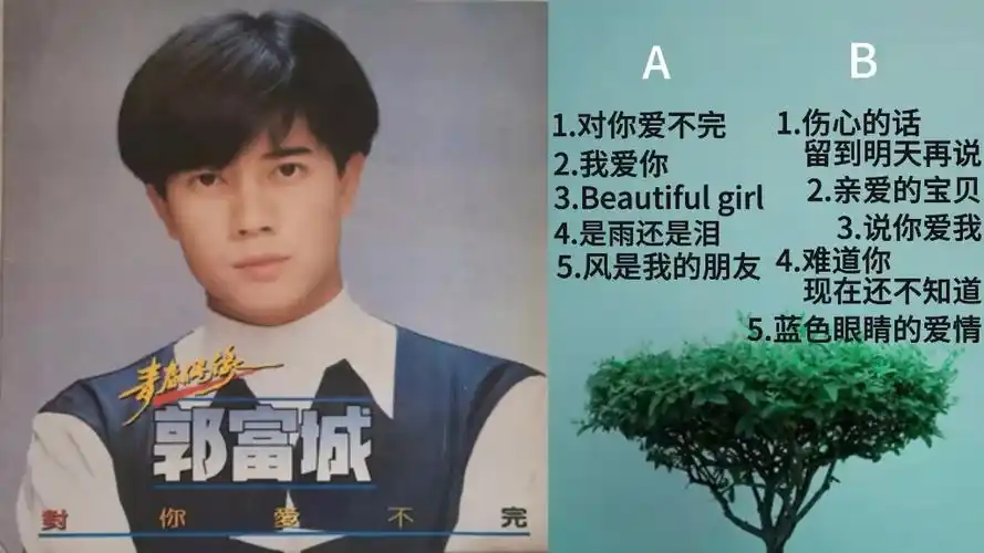 郭富城《对你爱不完》专辑(黑胶唱片内录),黑胶模拟味的享受