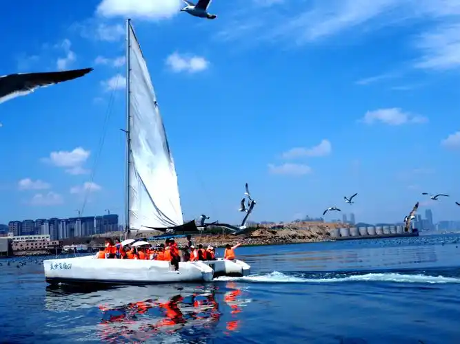 2019辽宁行(2)在大连出海观海鸥