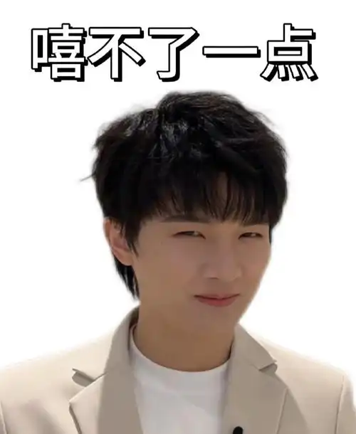 29hz巡回演唱会#  【精神状态良好表情包*9|禁二改商用】  昨晚视频我