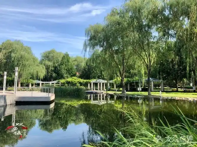 阳光星期八公园图片 - 第11张