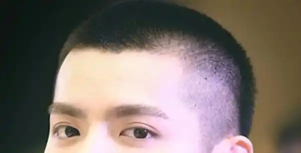 毛寸和毛碎的区别