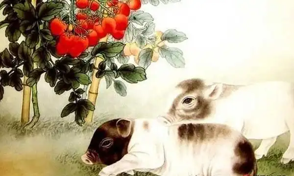 94年属啥的多大岁数,94年虚岁多大2022年图3