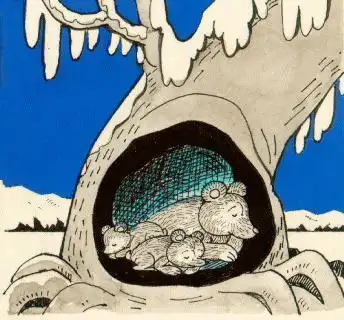 关于乌龟冬眠的a4手抄报手抄报简单又好看