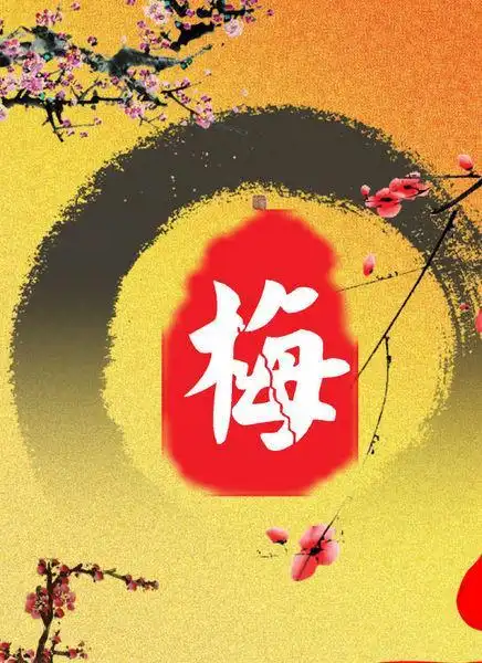 梓墨小说连载【易安心事】(第四集)播讲:寒梅