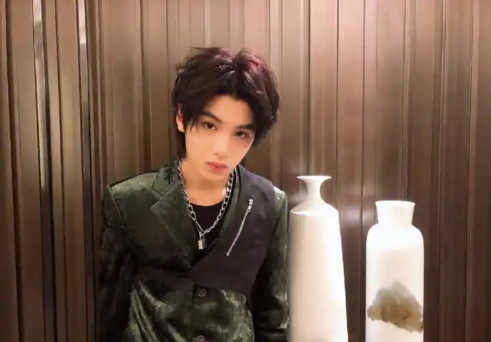 黄明昊浙江卫视领跑2019演唱会图片