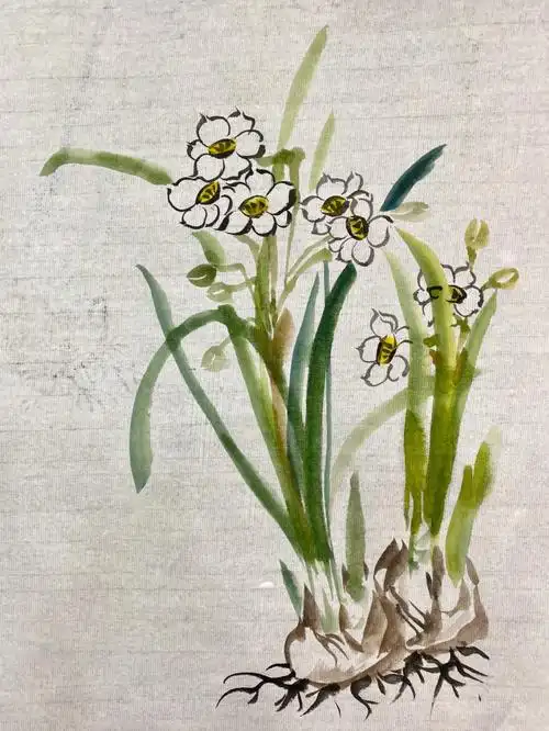 国画课堂水仙花