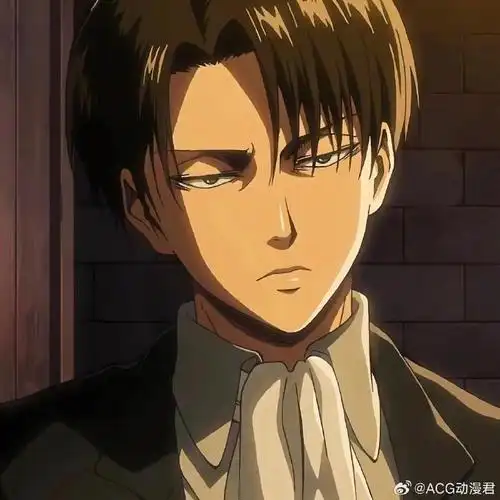 日本粉丝票选【凭外貌最帅气的角色】排行97#外貌最帅气的动漫角色