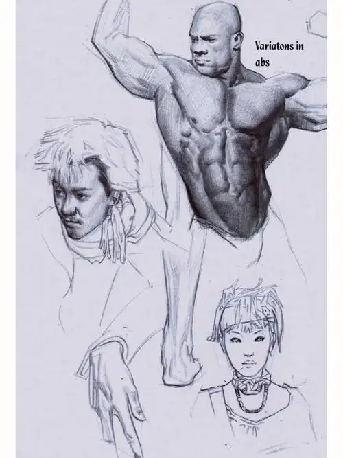 艺用人体结构线稿分享