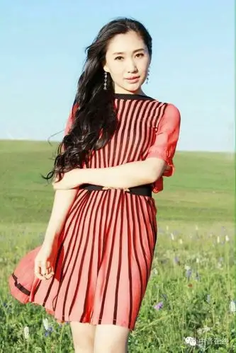 《父亲的恩情》演唱:范海荣