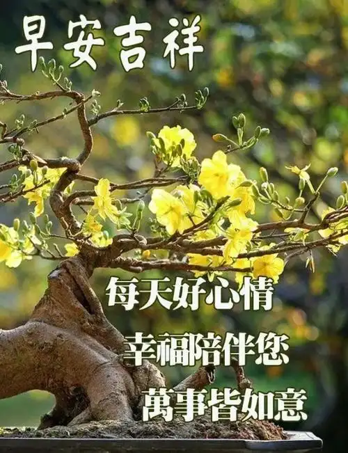 8张非常好看的春天唯美温馨的早安图片带字 2022早上好问候语温馨图片