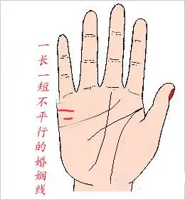 两条平行的婚姻线