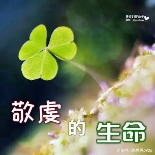 圣经箴言书31章才德的女子