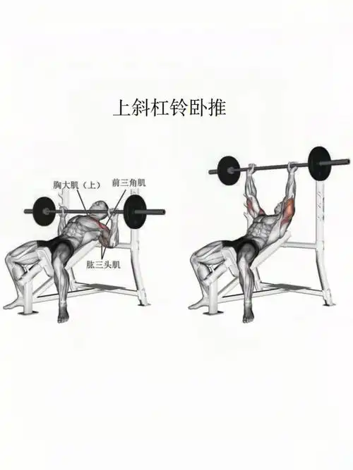 一周锻炼计划|练胸日