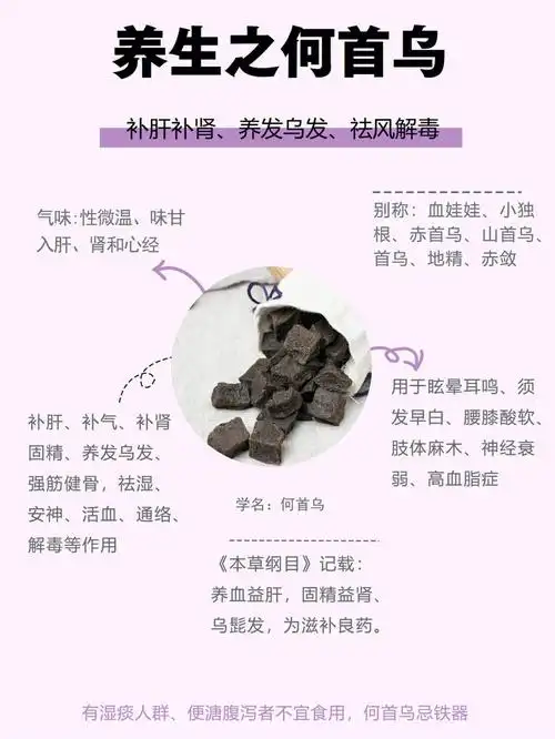 养生之何首乌补肝补肾,养发乌发,祛风解毒气味:性微温,味甘,入肝,肾和