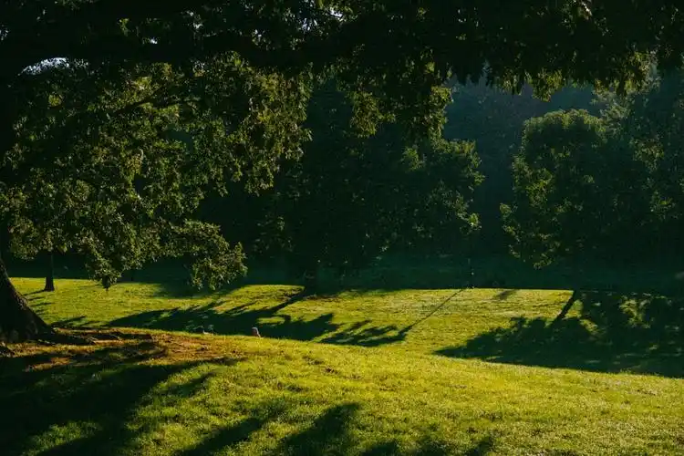 治愈风景ipad电脑壁纸