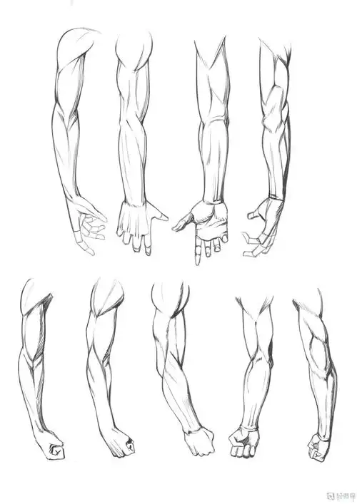 写生手臂人体体块手臂肌肉的练习
