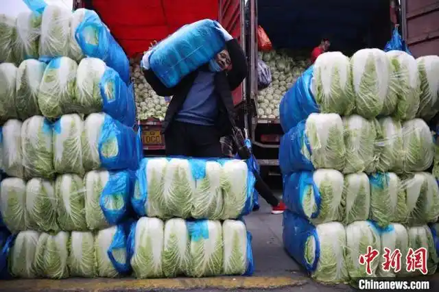 上海最大蔬菜批发市场商户"留沪过年" 保障市民"菜篮子"