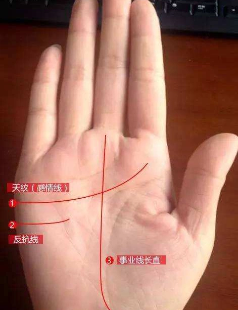 能入豪门,旺夫旺家,婚后能得富贵的女性手相特征,你有吗?