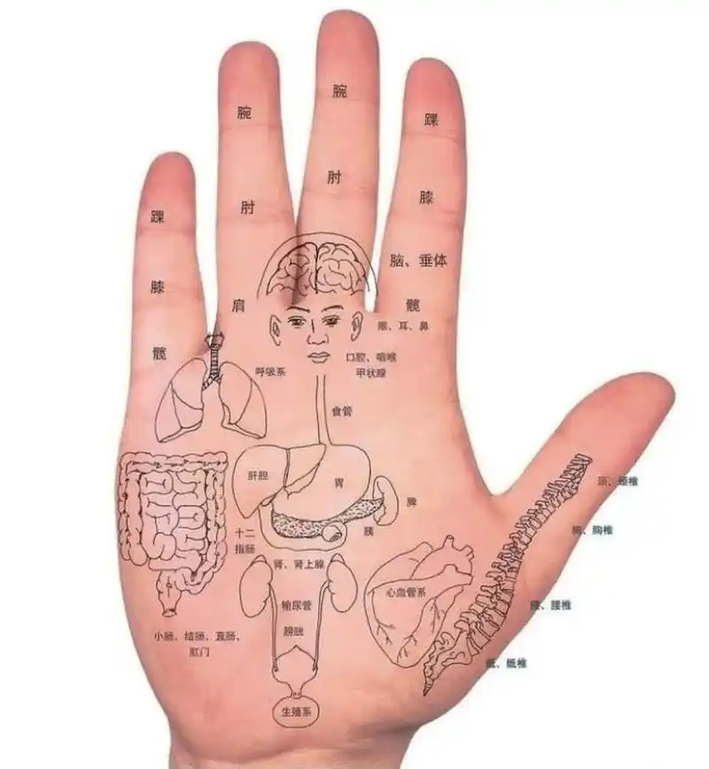 男人左手手相有什么说法? 1.