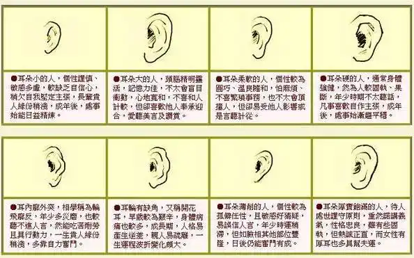 这种耳朵面相的女人天生命好夫财双旺