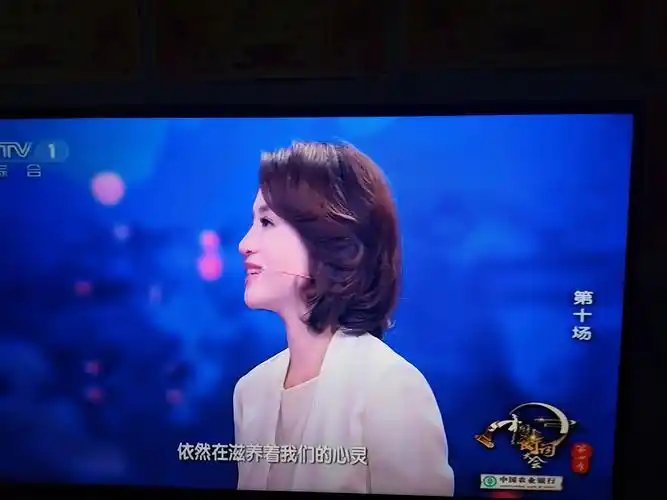 诗词大会上董卿教科书般开场白