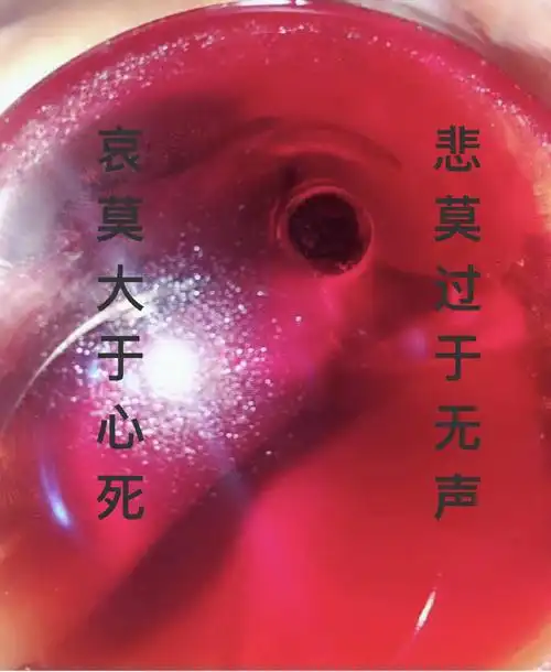 他不会哭泣,也不曾抱怨,因为哀莫大于心死,悲莫过于无声,这世上再也没