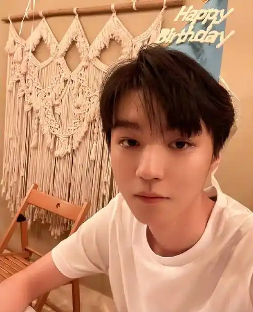 蔡少芬张晋结婚十五周年,邓超孙俪,王俊凯,王源,刘丹辟谣_蓝正龙