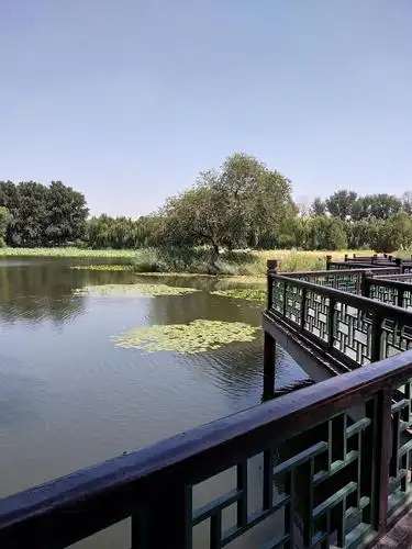 圆明园——你的美不止诗词几句