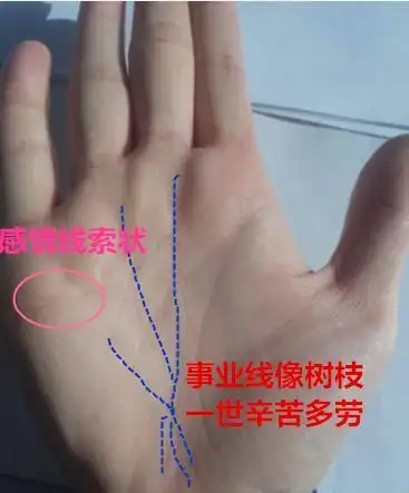 手相事业线y字形分叉,手相三条线分别是什么,事业线分叉图解