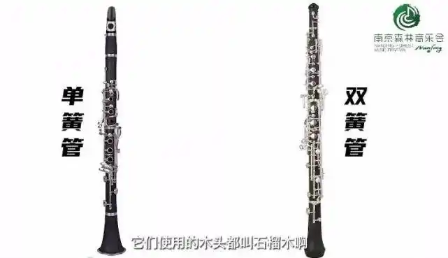 区别:双簧管更小巧玲珑,由前后两个簧片组成,且键子更密;单簧管体型