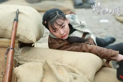 孙鹏滨,李思博,傅淼,端木崇慧等实力派演员主演的电视剧《野山鹰》