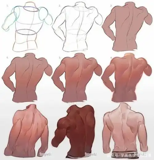 缺男朋友的进来!男性肌肉画法素材参考!