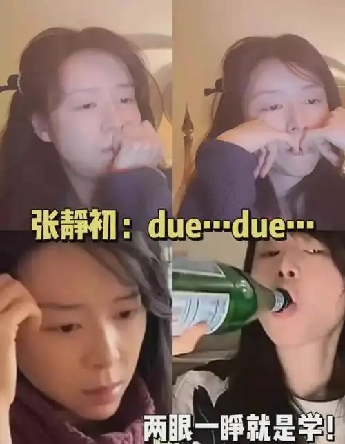 董洁|张静初|伊能静|女明星_网易订阅