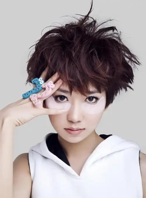 洪辰(内地女歌手,演员)_尚可名片