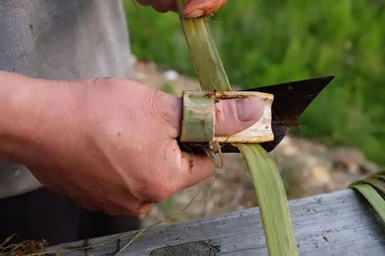 【刮麻】【手工上浆】【穿筘】【提综】【手工纺织】【尾穗打结】注意