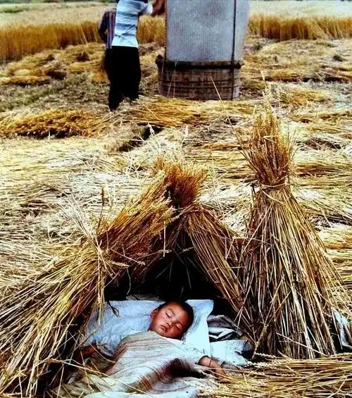 (看着小时候的照片,满满的都是回忆)