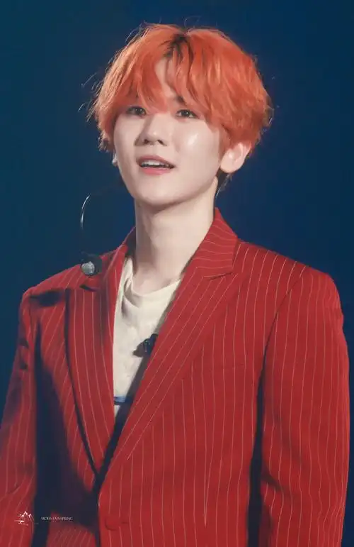 边伯贤city lights