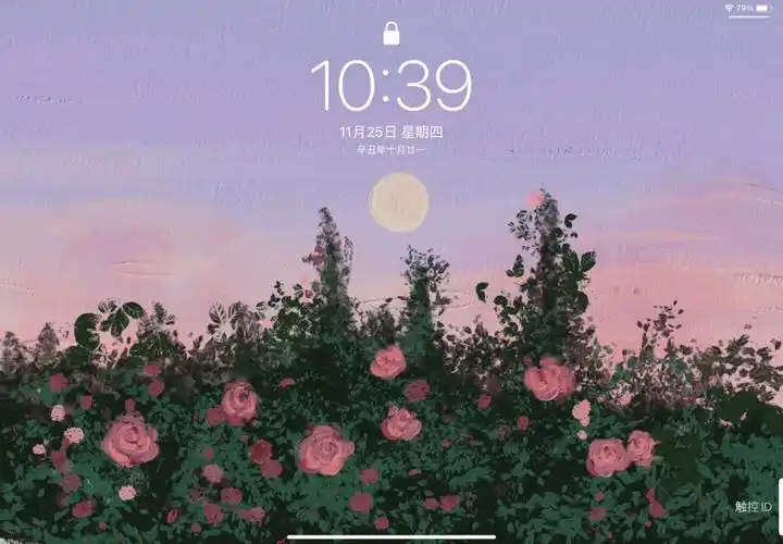 ipadair4桌面整理