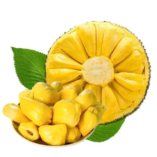 海南三亚黄肉菠萝蜜新鲜水果当季40斤木波罗蜜一整个整箱包邮红