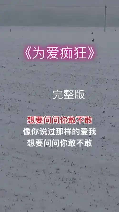 为爱痴狂刘若英