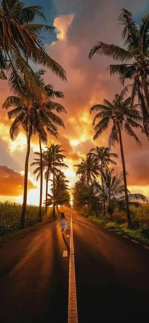 原图看简介或:vol 288 精选无水印高清手机壁纸