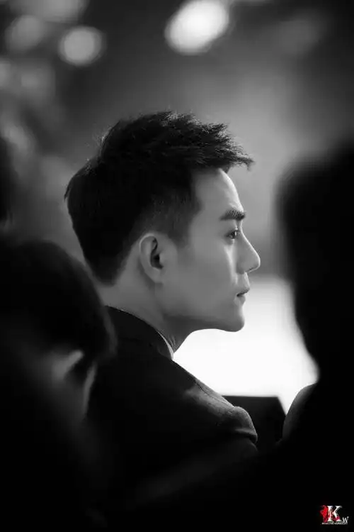 国内娱乐圈侧脸最好看的男星最后一位被说平平无奇