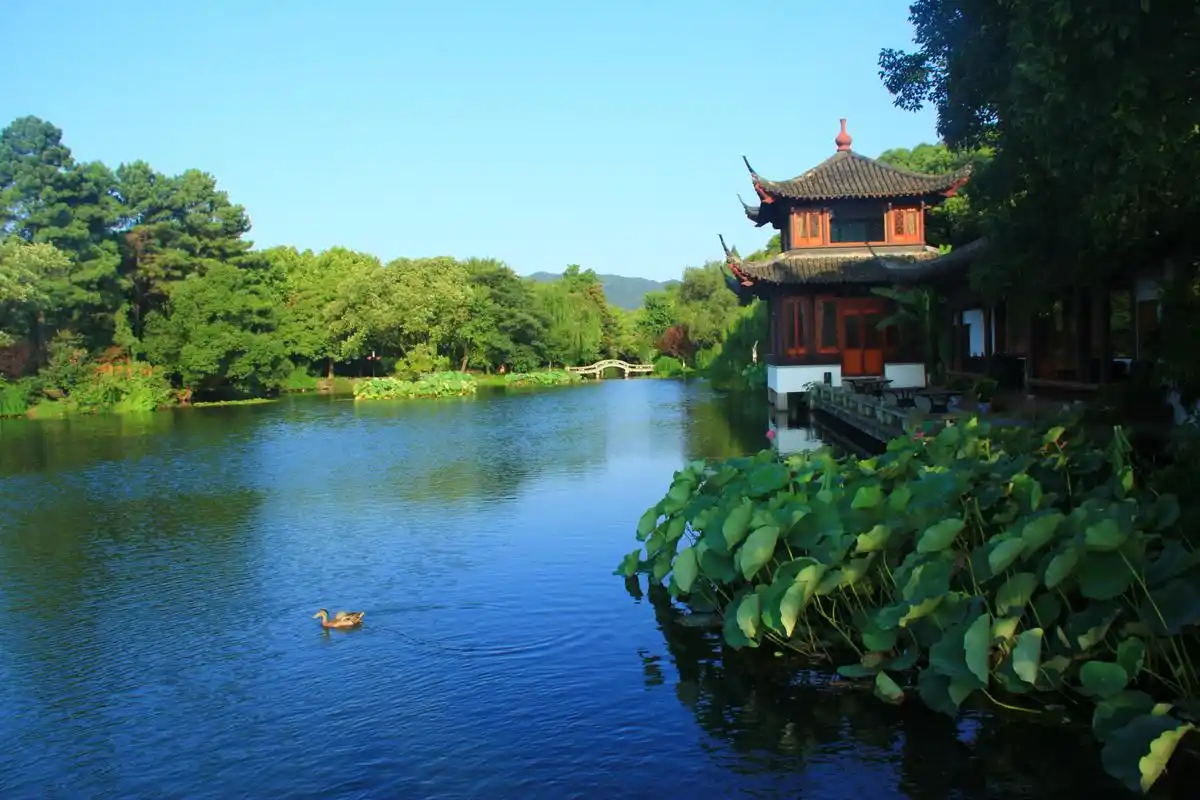 【夏日西湖景色秀】之二-19摄区-杭州19楼