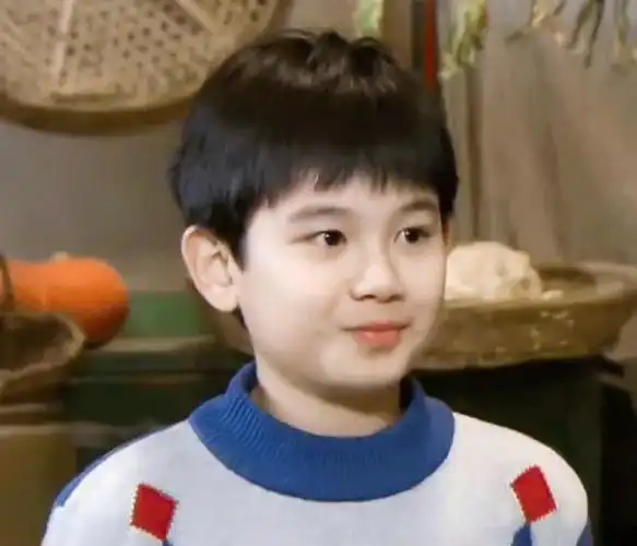 胡皓康和胡先煦14岁的不同画风