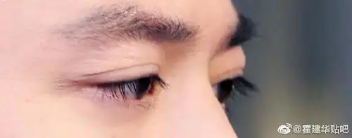 霍建华 最早知道睫毛精这个词的时候,就是大家用来形容华哥的.
