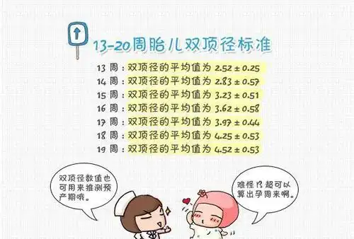 双顶径和股骨长看男女的方法在孕24周开始,双顶径减股骨长=17以上此后